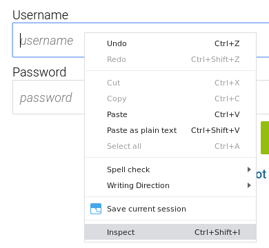Inspect username field